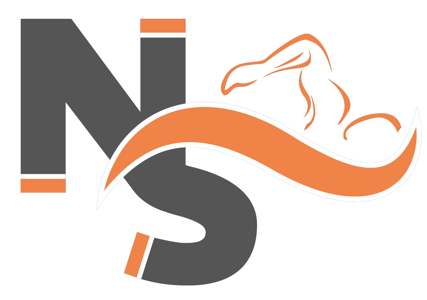 nico spahn